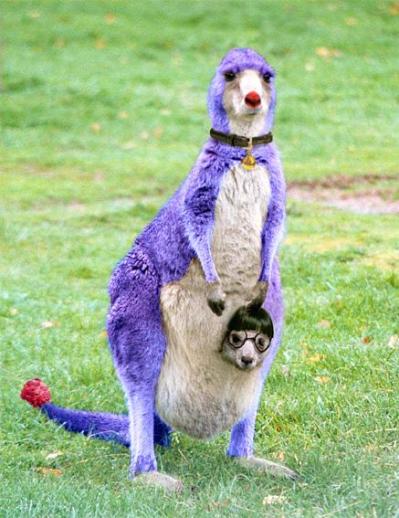 ドラえもん風カンガルー